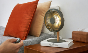Portable & Detachable Desk Fan/Light by Ginko
