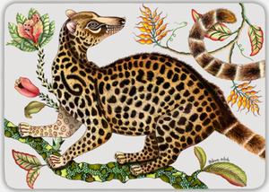 Ardmore Genet Cat Chalk placemats from South Africa
