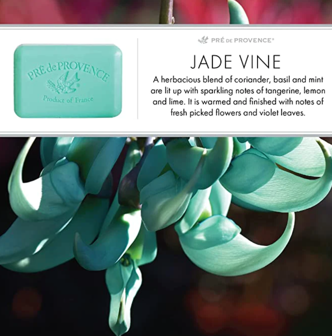 Jade Vine soap bar by Pré de Provence