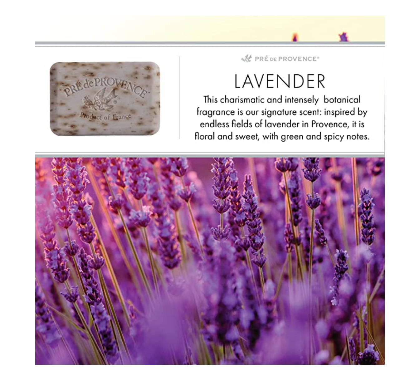 Lavender soap bar by Pré de Provence