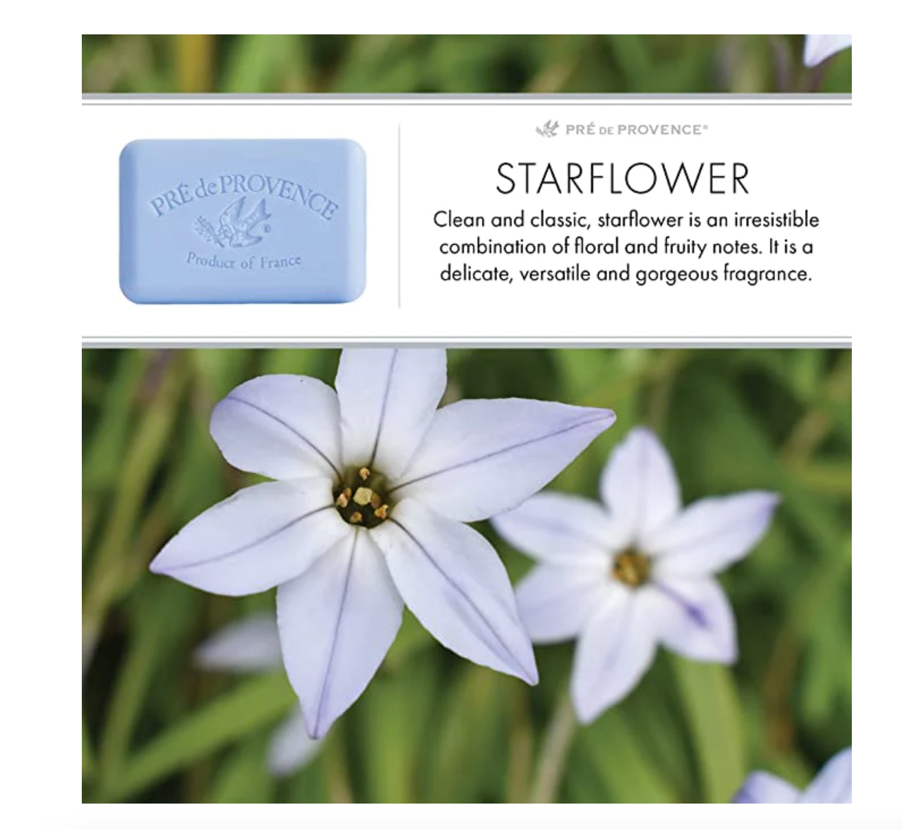 Starflower soap bar by Pré de Provence