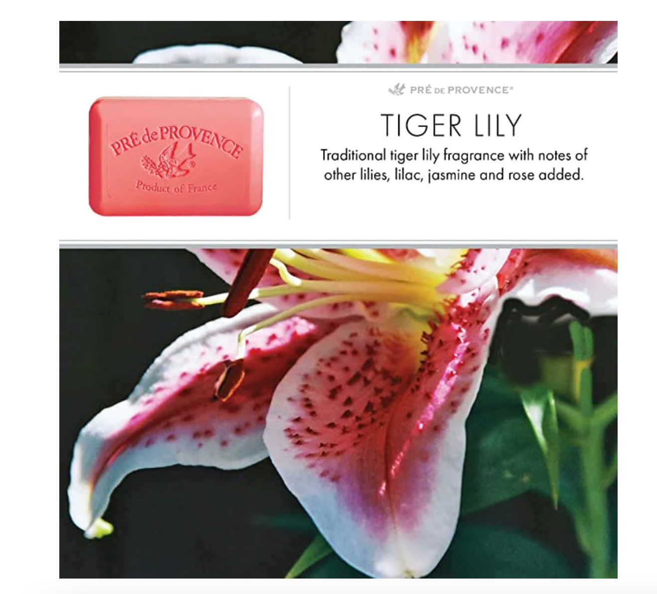 tiger lily notes Tiger Lily soap bar by Pré de Provence – Pandora's Santa Fe