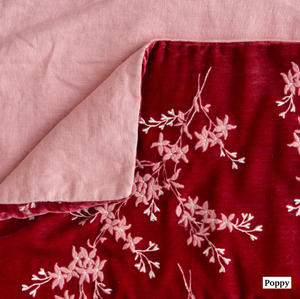 Lynette embroidered silk velvet throw by Bella Notte (**to order)